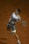 MUSETTI_Roma-2026_00015606.jpg